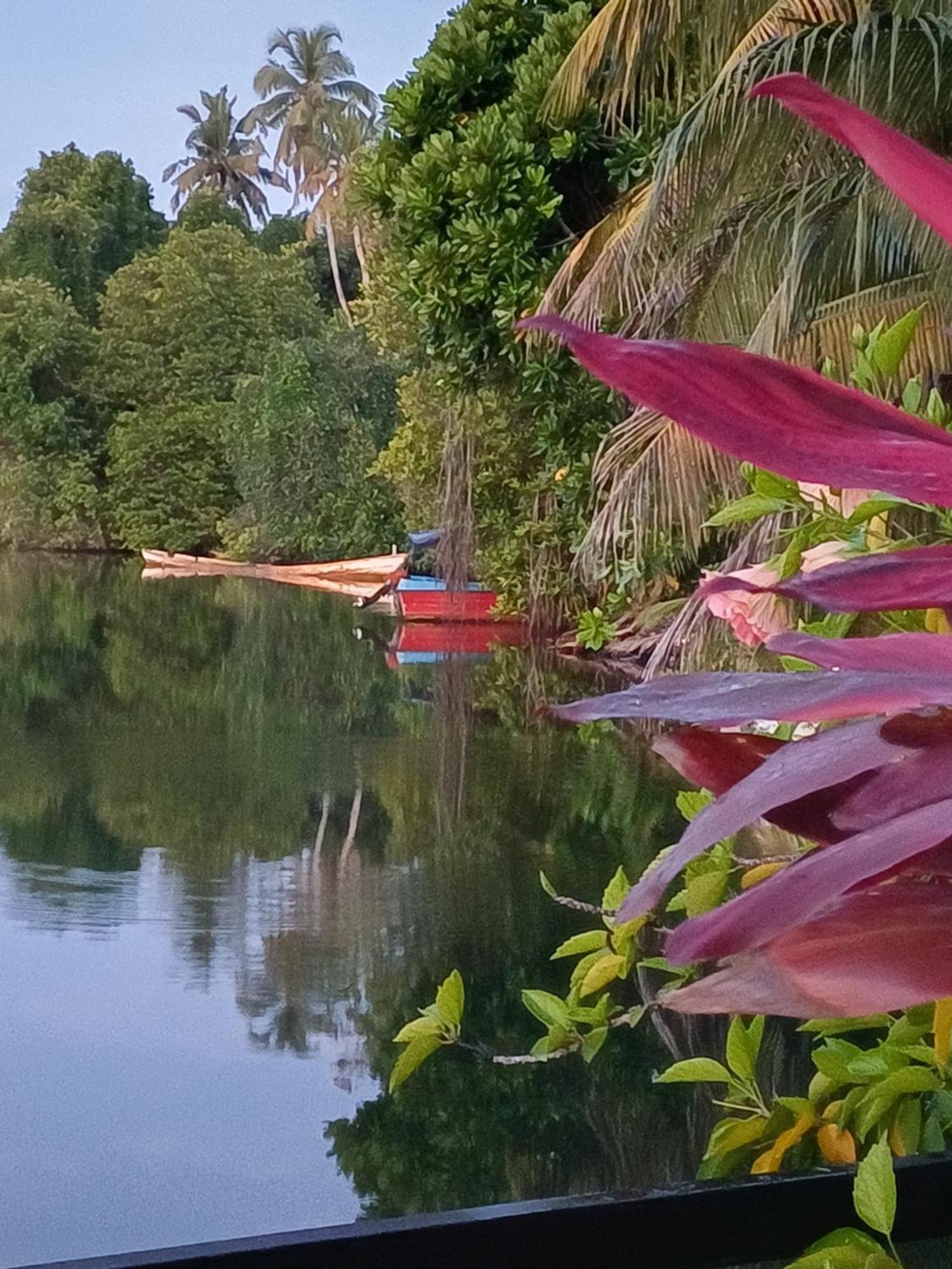 Villa River View Aluthgama Extérieur photo